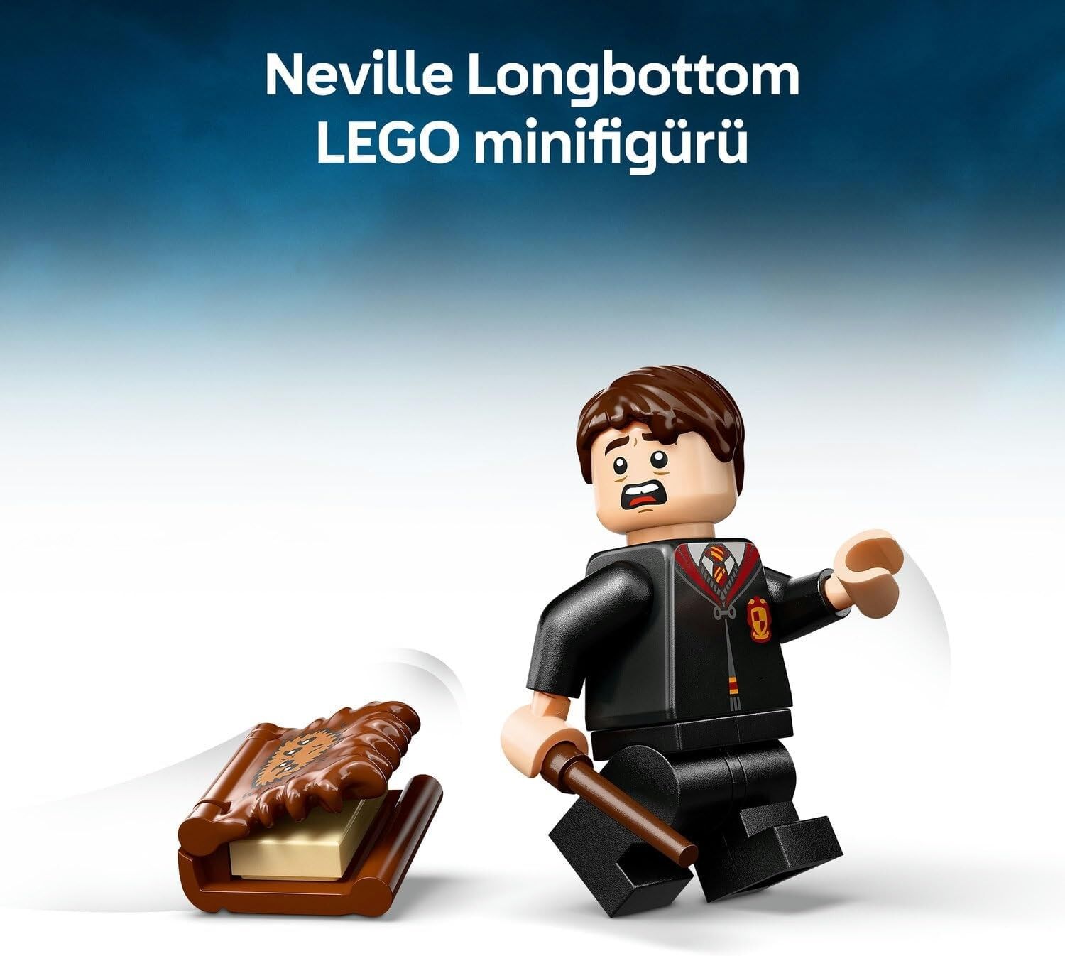 LEGO HARRY POTTER ISIRAN CANARLAR KİTABI