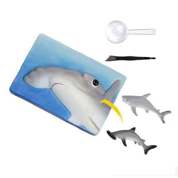 NATIONAL GEOGRAPHIC KÇPEK BALIĞI BULMA KİTİ