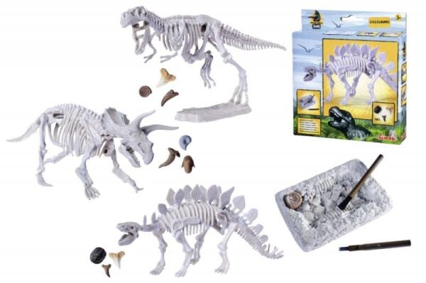 DINO SKELETON EXCAVATION