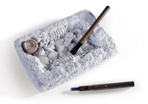 DINO SKELETON EXCAVATION