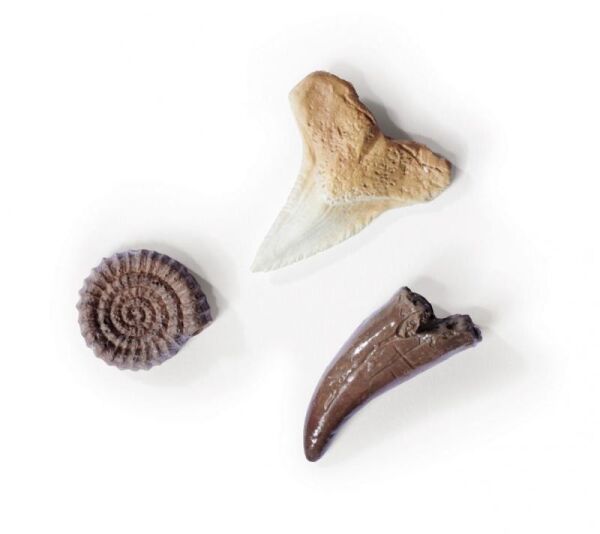 DINO SKELETON EXCAVATION