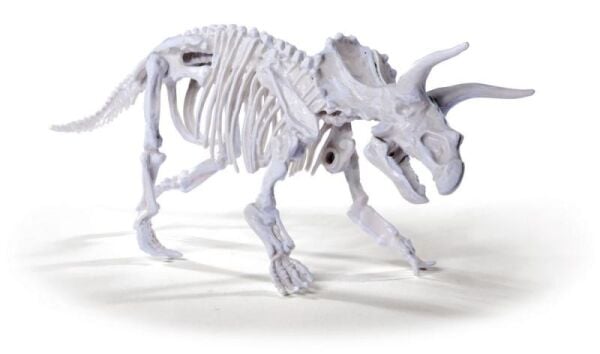 DINO SKELETON EXCAVATION