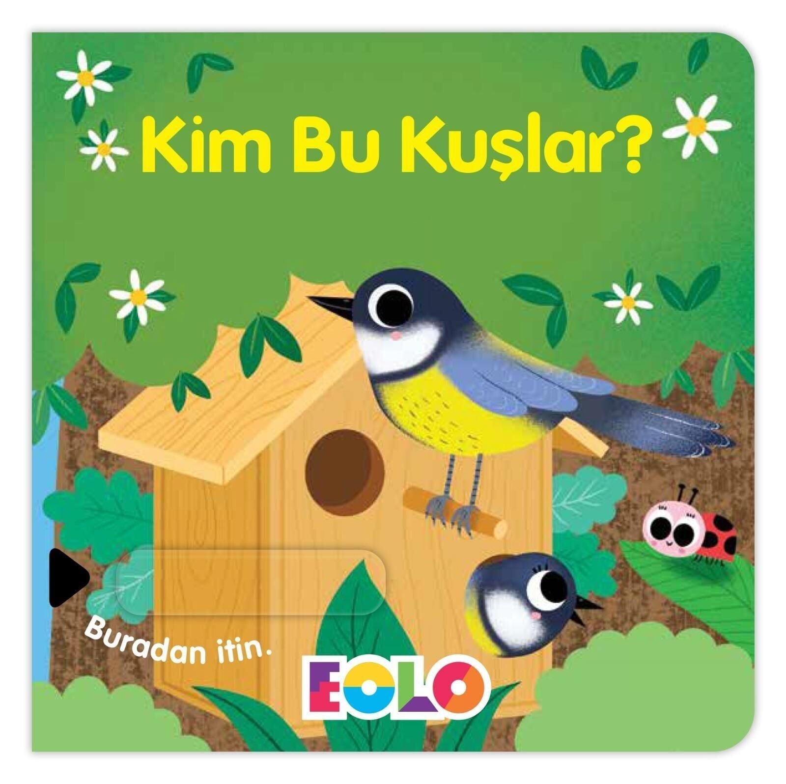 EOLO SÜRGÜLÜ KİTAP-KİM BU KUŞLAR?
