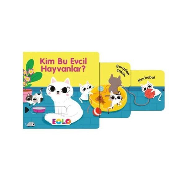 EOLO SÜRGÜLÜ KİTAP-KİM BU EVCİL HAYVANLAR