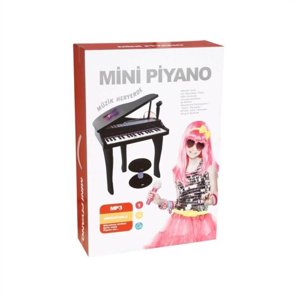 BLACK KUTULU MİNİ PİANO