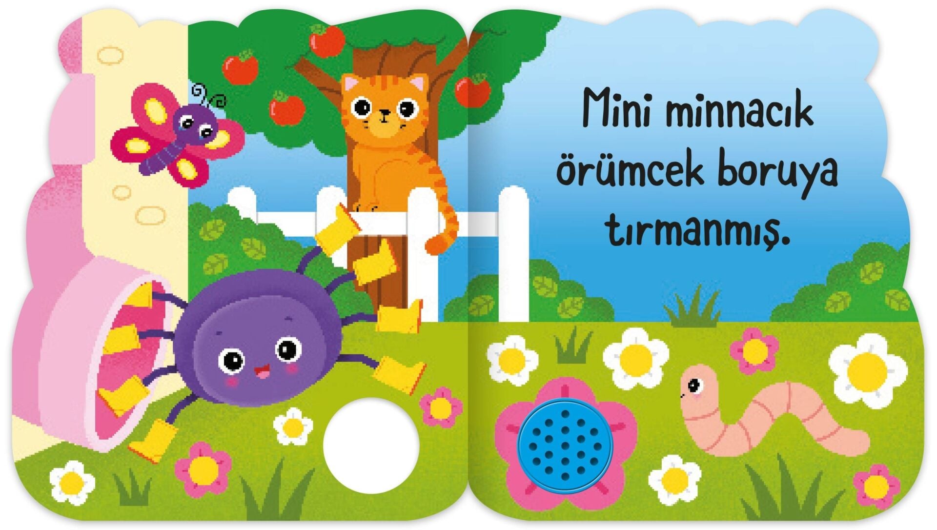 EOLO MİNİ MİNNACIK ÖRÜMCEK