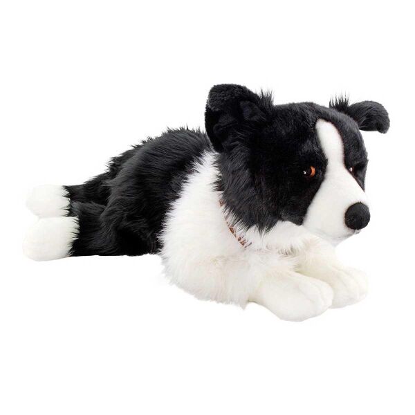 YATAN BORDER COLLIE