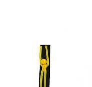 PANİNİ MİSTER STICKY