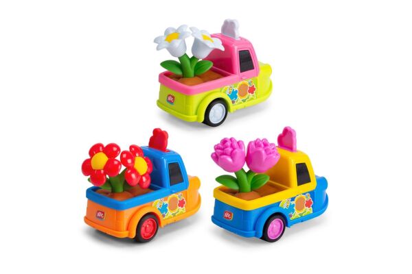 ABC FLOWER TEAM 3 ASST