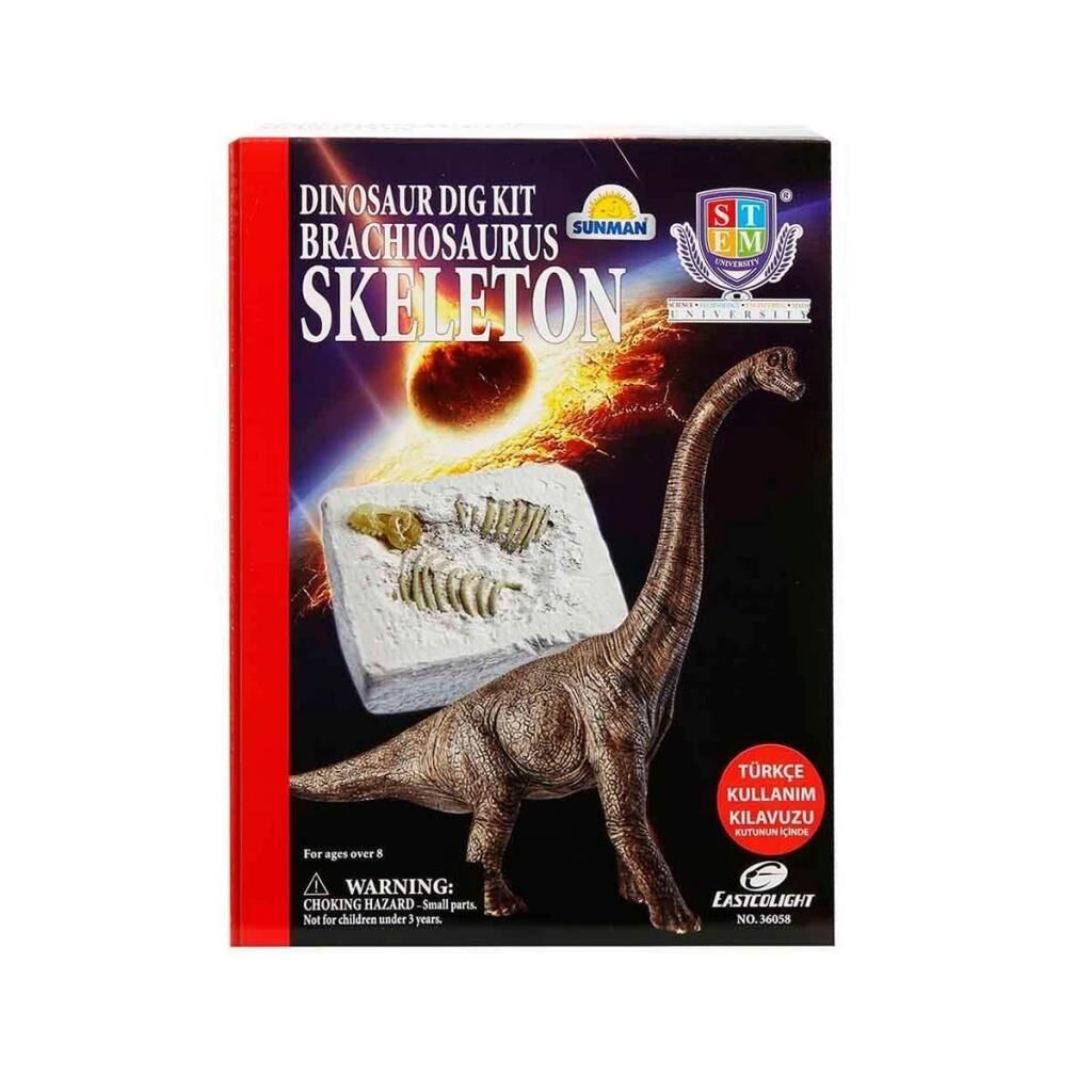 BİLİM SET BRACHIOSAURUS İSKELETİ