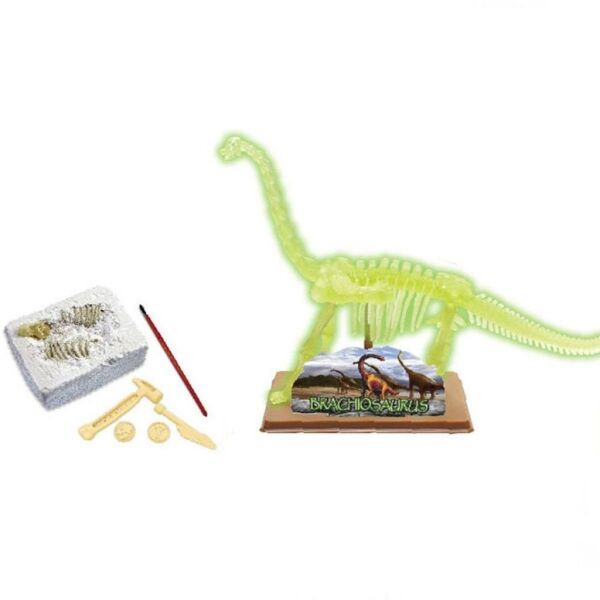 BİLİM SET BRACHIOSAURUS İSKELETİ