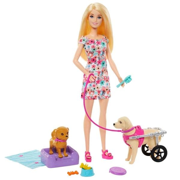 BARBIE VE ENGELLİ KÖPEĞİ OYUN SETİ