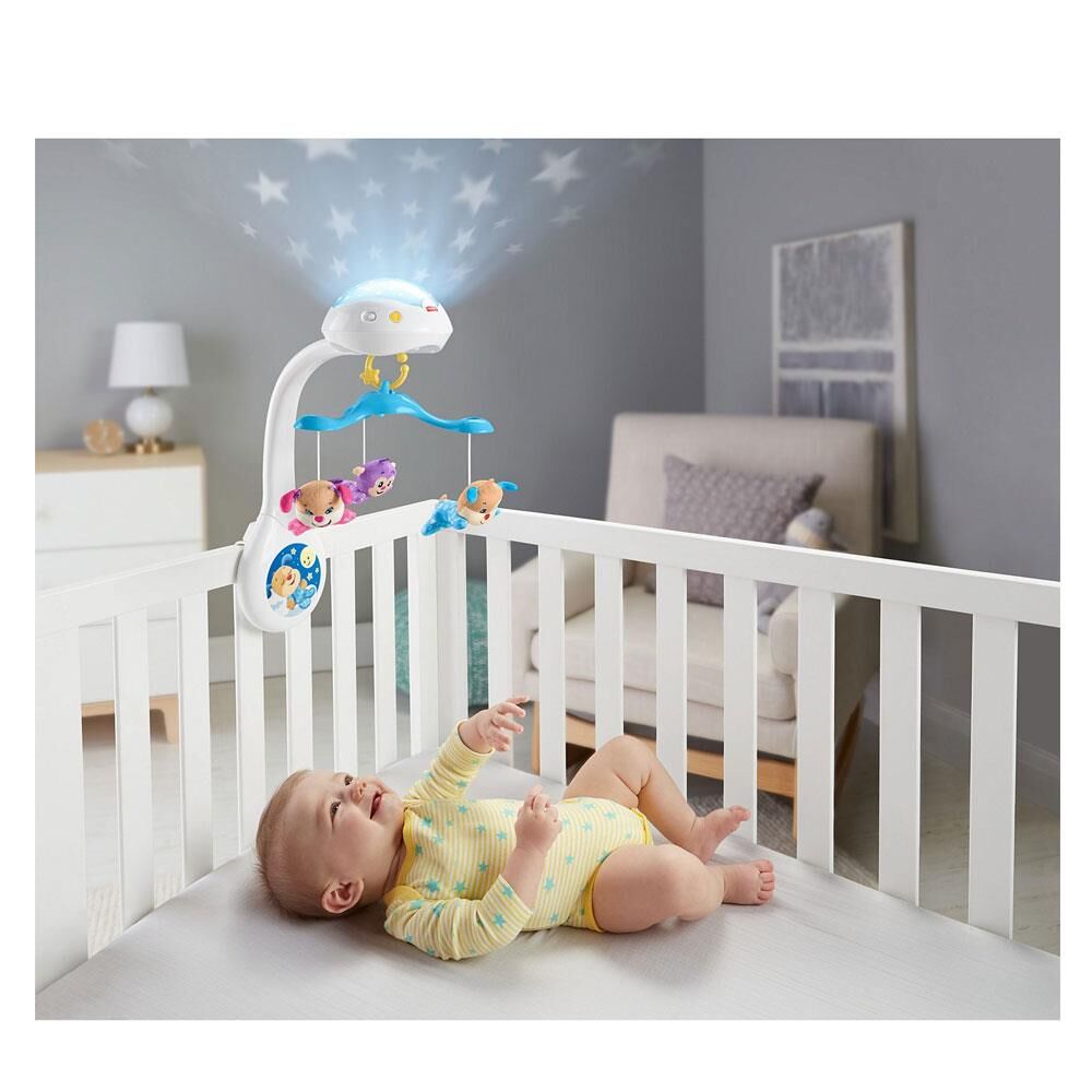 FP EĞİTİCİ KÖPEKÇİK DÖNENCE