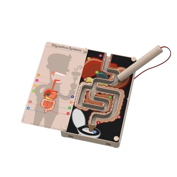 4M DENEY SİNDİRİM SİSTEMİ