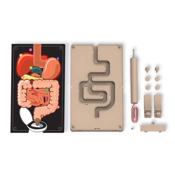 4M DENEY SİNDİRİM SİSTEMİ