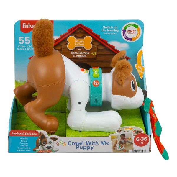 FP EMEKLEMEYİ VE SAYMAYI ÖĞRETEN KÖPEKÇİK