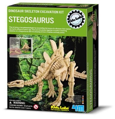 4M DENEY STEGOSAURUS SKELETON