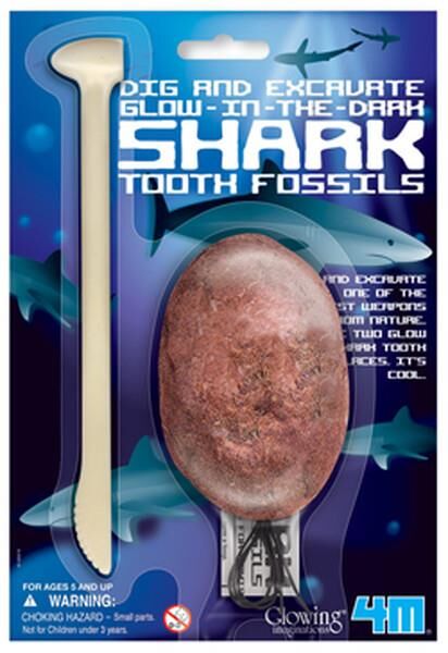 4M DENEY FOSİL DİŞLER