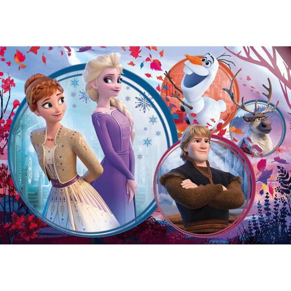 FROZEN PUZZLE
