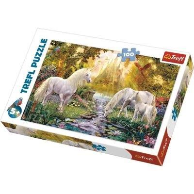 SECRET GARDEN PUZZLE