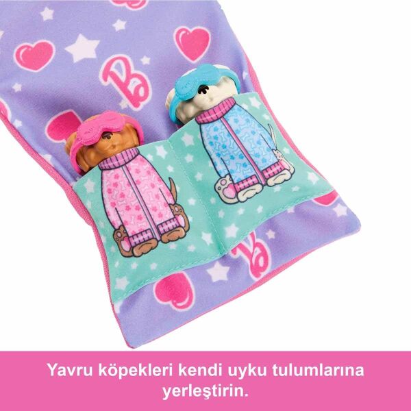 BARBIE AİLE BARBİE VE KÖPEKLERİ
