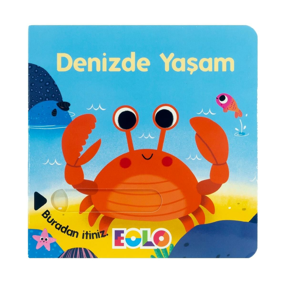 SÜRGÜLÜ KİTAP-DENİZDE YAŞAM