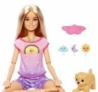 BRB MEDİTASYON YAPYOR OYUN SETİ