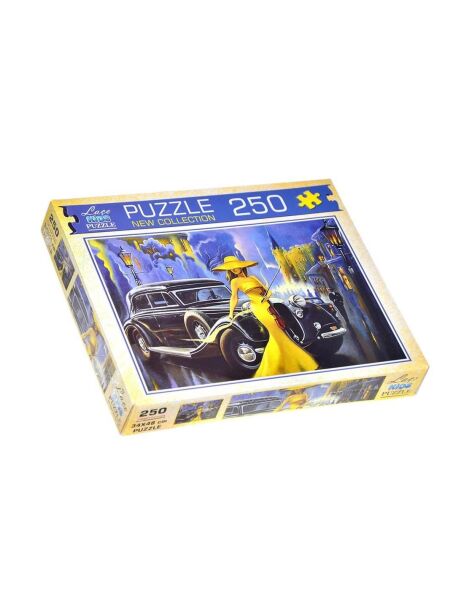 ŞEHİR KEMANCISI 250 PRÇ. PUZZLE