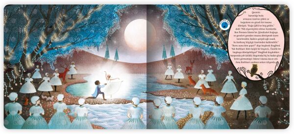 EOLO HİKAYE ORKESTRASI-KUĞU GÖLÜ