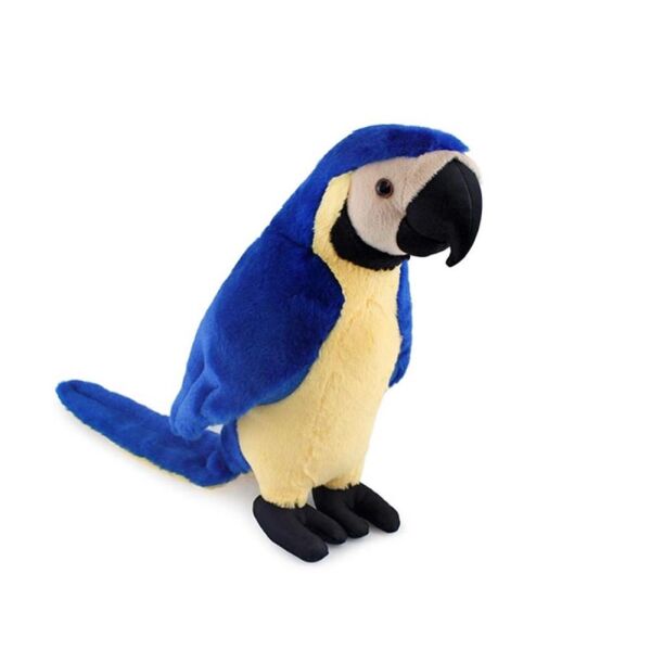 PAPAĞAN 35 CM
