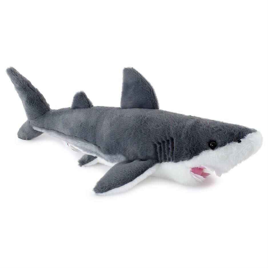 KÖPEKBALİĞİ 55 CM