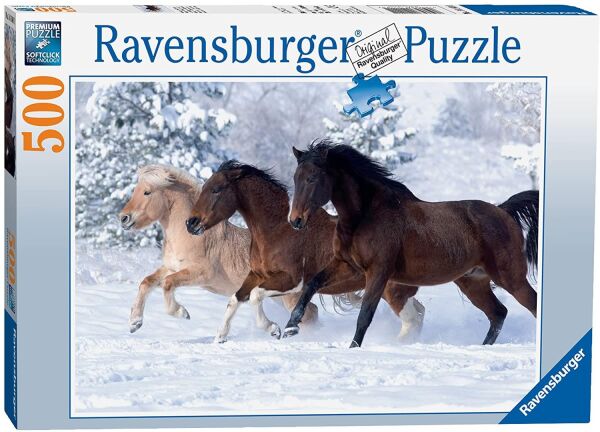 RB 500 PRÇ GALLOP IN SNOW