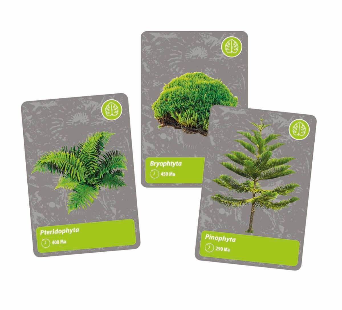 CLEMENTONİ DÜNYADAKİ YAŞAMIN TARİHİ