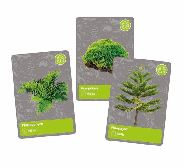 CLEMENTONİ DÜNYADAKİ YAŞAMIN TARİHİ