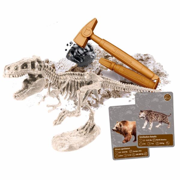 CLEMENTONİ DÜNYADAKİ YAŞAMIN TARİHİ