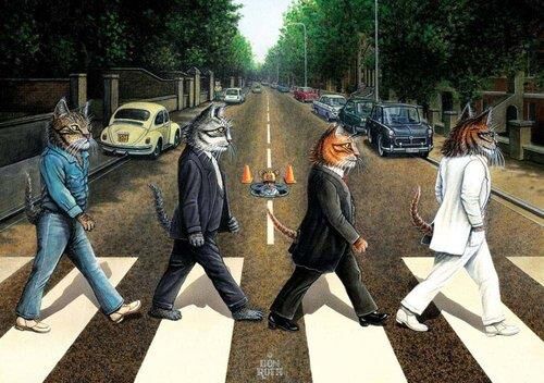 KEDİ YOLU 1000 PARÇA