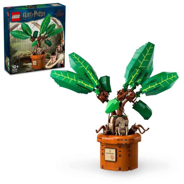 LEGO HARRY POTTER ADAM