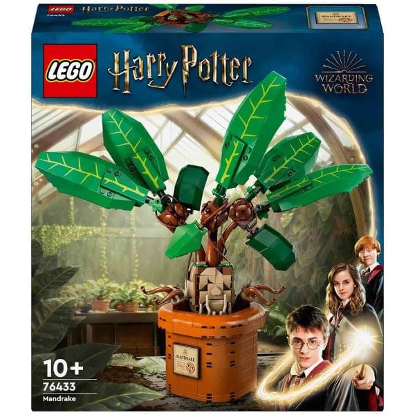 LEGO HARRY POTTER ADAM