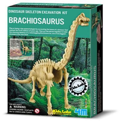 4M DENEY BRACHISAURUS SKELETON