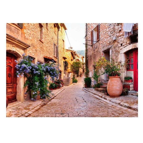 FRANCE PUZZLE