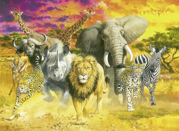 RB AFRICAN ANIMALS