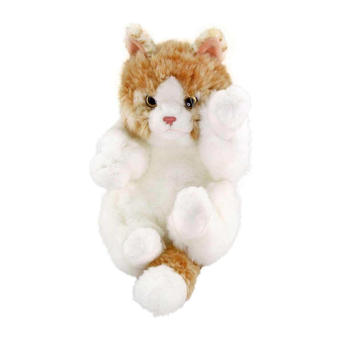 OYUNCU BEJ YAVRU KEDİCİK