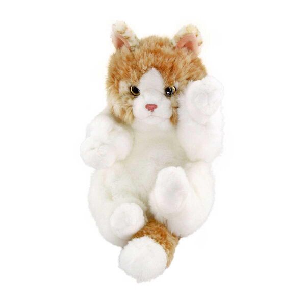 OYUNCU BEJ YAVRU KEDİCİK