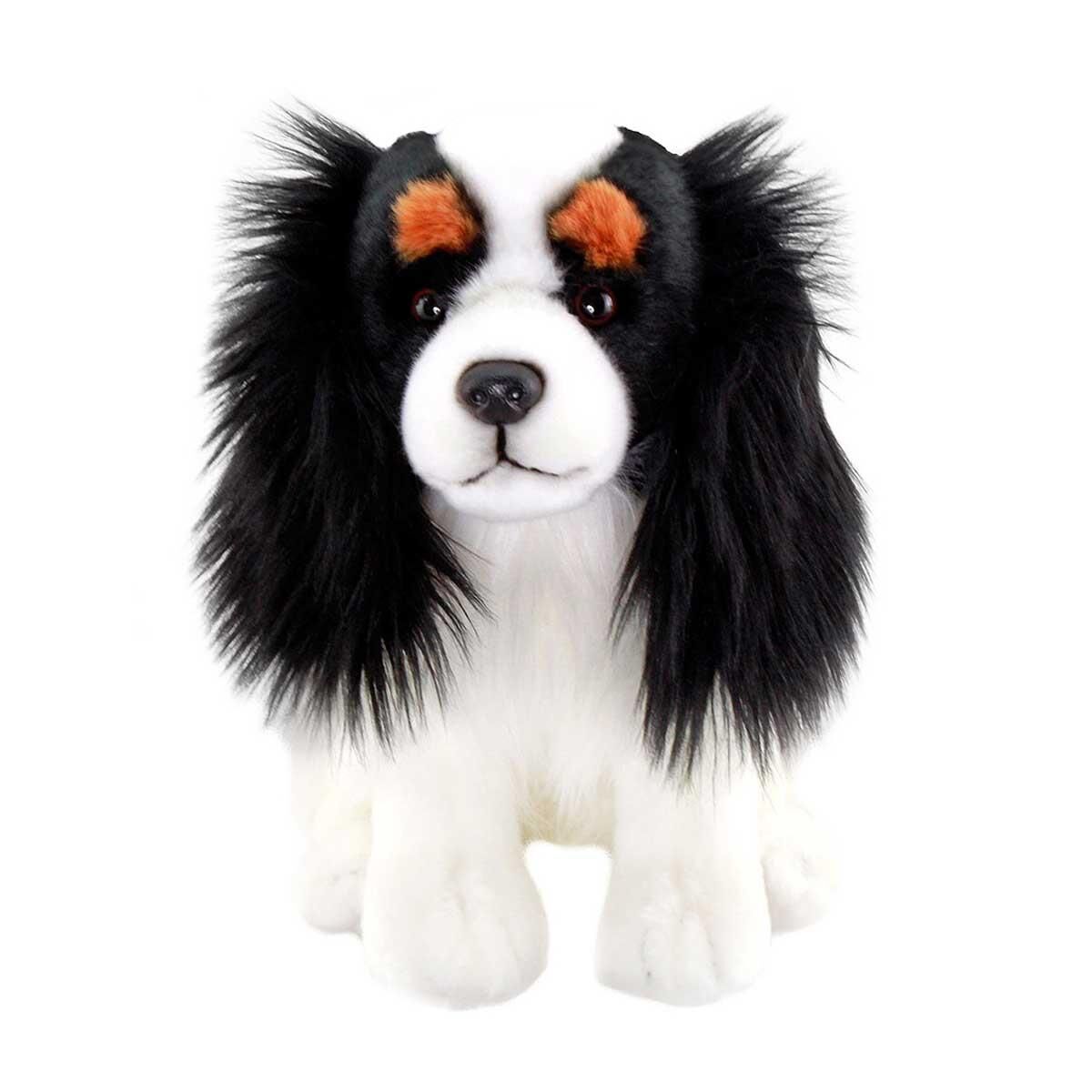 FLOOPY SİYAH BEYAZ İSPANYON KİNGS CHARLES