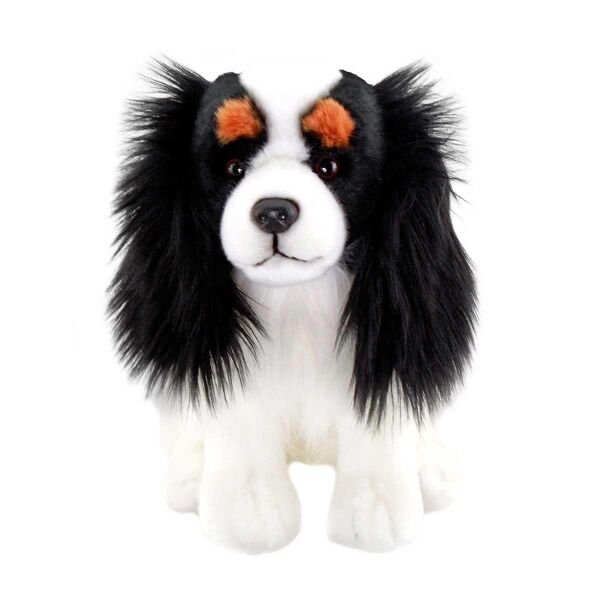 FLOOPY SİYAH BEYAZ İSPANYON KİNGS CHARLES