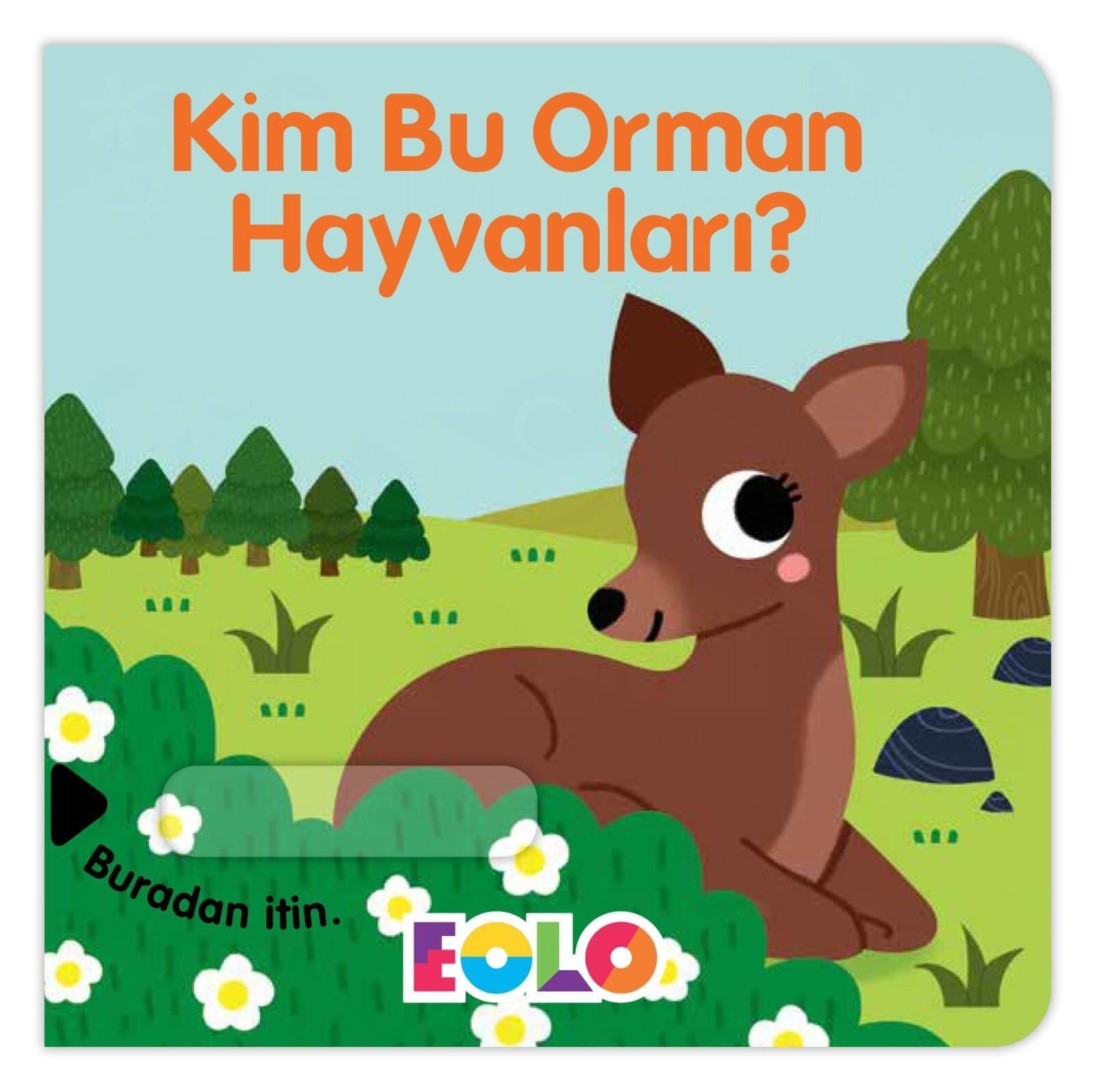EOLO SÜRGÜLÜ KİTAP-KİM BU ORMAN HAYVANLARI?