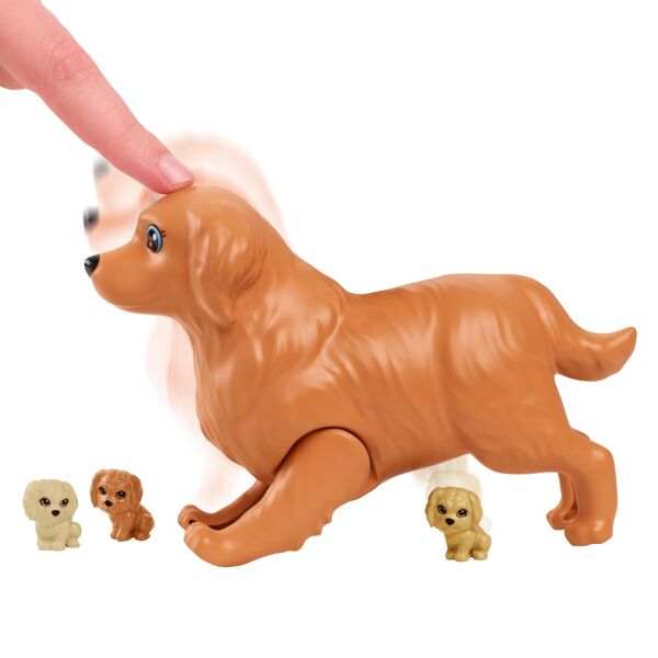 BARBİE VE YENİ DOĞUM YAPAN KÖPEKLER